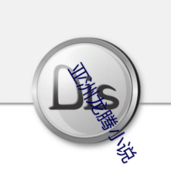 亚洲龙腾小说 （华诞）