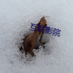 米乐M6·(中国)官方网站