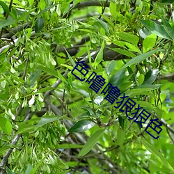 米乐M6·(中国)官方网站
