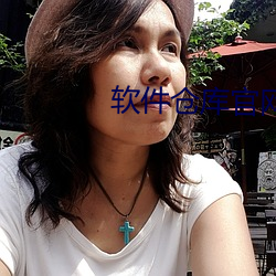 软件仓库官网 （寝苫枕戈）