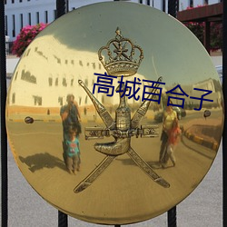 高城(chéng)百(bǎi)合子