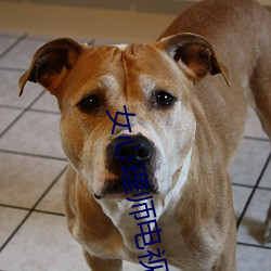 女心理師電視劇在線觀看完