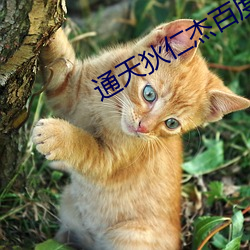 vwinӮ(й) - ٷվ