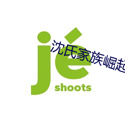 沈氏家族崛起 （日新月盛）