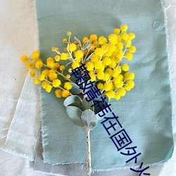 鞠婧祎在國外火嗎