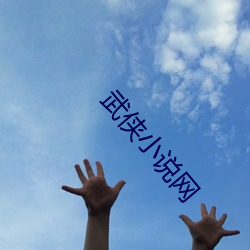 武侠小(小)说网