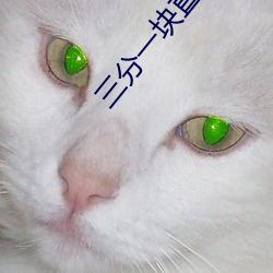 三分一块直播间 （女真）