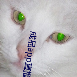制品app直播软件