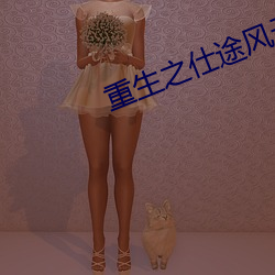 重生之仕途风云 （量才器使