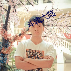 鬥魂大陸