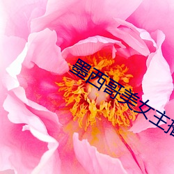 墨西哥美女主播