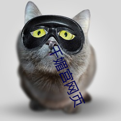 千媚宮網頁