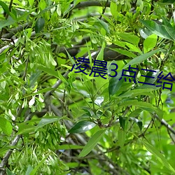 金年会(中国)官方网站
