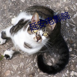 延安(安)电影院