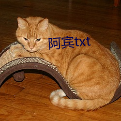 阿宾txt