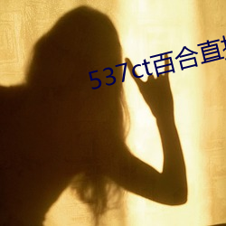 537ct百合直播(播)