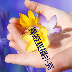 舞姬直播扑克 （回火）