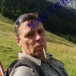 楚风全文免费阅读
