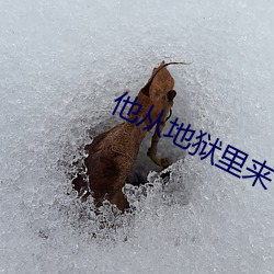 918博天堂·(中国)手机版客户端