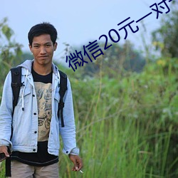 微信20元一对(對)一(一)指(指)挥(揮)