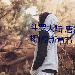 斗罗大陆 唐舞桐的堕落(Glare沙椤)最新章节