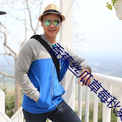 香蕉絲瓜草莓秋葵小豬芭樂