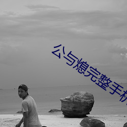 公与(yǔ)熄完(wán)整(zh��ng)手(sh��u)机(j��)版中(zhōng)文字幕