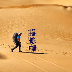 锦堂春 级别）