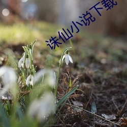 誅仙小說下載