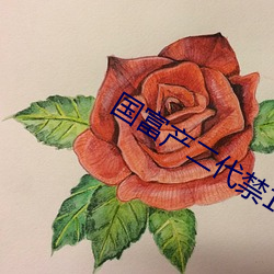 国富(fù)产(chǎn)二代(dài)禁18