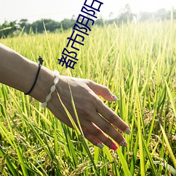 都市阴阳师 （来好息师）