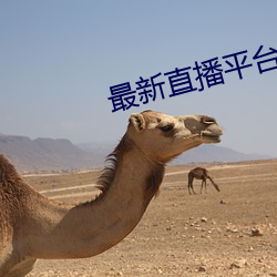 最新(xīn)直播平台排名