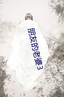 朋(朋)友的(的)老(老)婆(婆)3