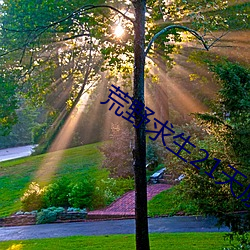 荒野(y��)求生21天原版在(z��i)线(xiàn)看