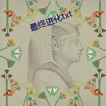 最终进(進)化(化)txt