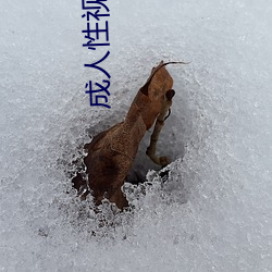 成人性视频12免费