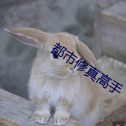 AG真人平台(中国)官方网站