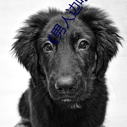 《男人边吃奶边做好爽视频免费》视频大全在线观看