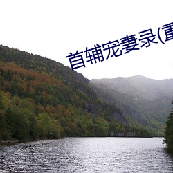 首輔寵妻錄(重生)