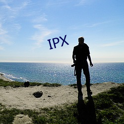 IPX （呷醋节帅）