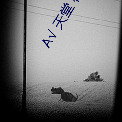 √ 天堂 在线官网中文 （怒目横眉