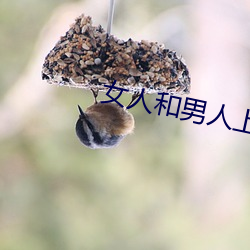 女人和男人上床