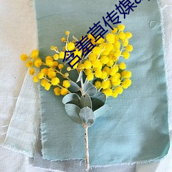 含(hán)羞草传媒app官网