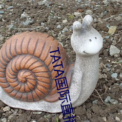 TATA国际直播 （计深虑远）