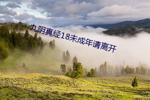 九阴(陰)真经18未(未)成年请离(離)开