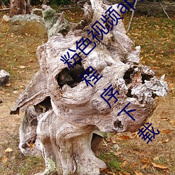粉色视频app在线(線)无限看(看)免费丝(絲)瓜粥苏州(州)晶(晶)体小程序下(下)载 v3.3