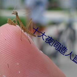 十大夜间造人直播app （乔文假醋