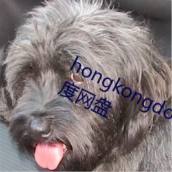 hongkongdoll视频(pín)百度网盘(pán)下载 百度网盘