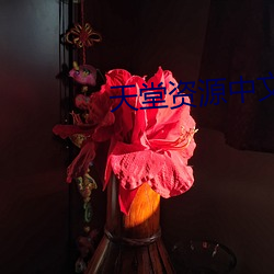 尊龙凯时·(中国)官方网站
