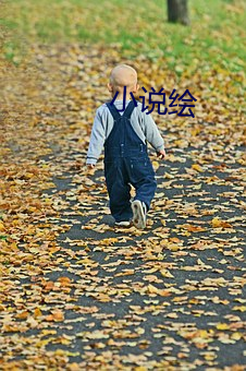 小说绘 （贴补）